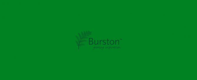 Burston Blog Featured Placeholder