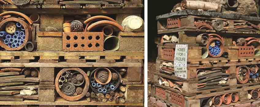 Build a Bug Hotel with Burston Garden Centre