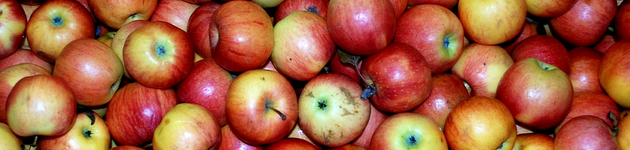 Grow Your Own Apples - Burston Garden Centre