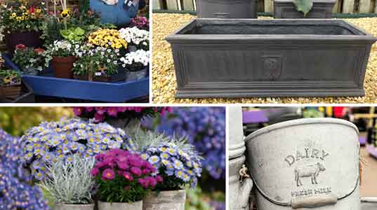 Autumn Planters Collage - Burston Garden Centre