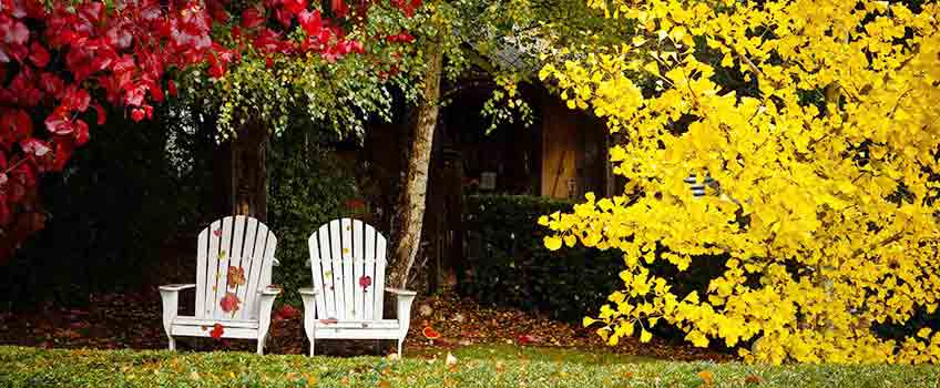 Autumn Tidy Up with Burston Garden Centre