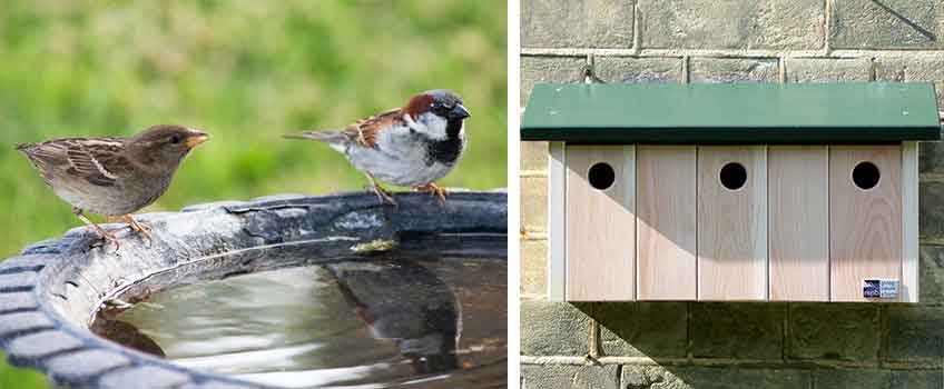 Bird Nesting Boxes - Burston Garden Centre