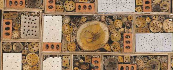 Build a Bug Hotel with Burston Garden Centre