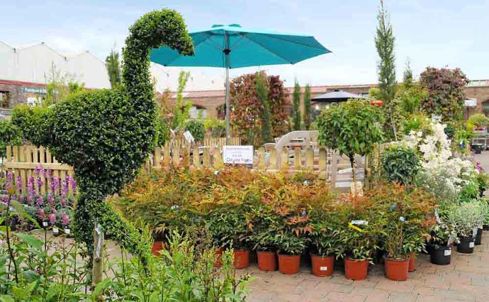 Burston Garden Centre - Gallery Image