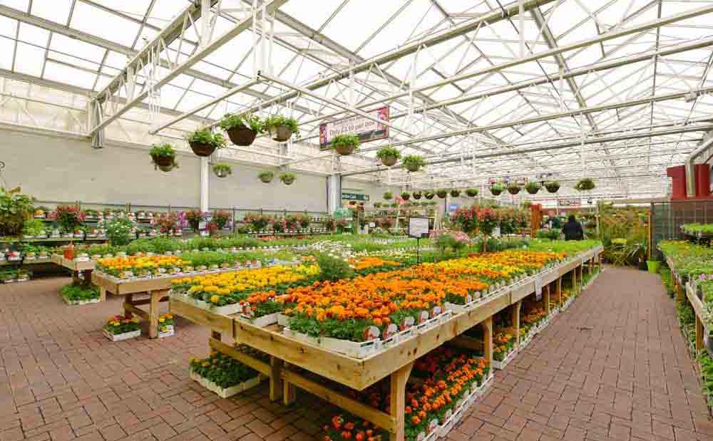 Burston Garden Centre - Gallery Image