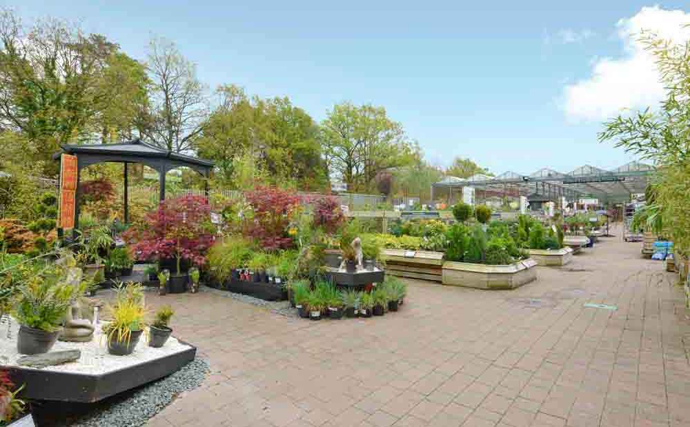 Burston Garden Centre - Gallery Image