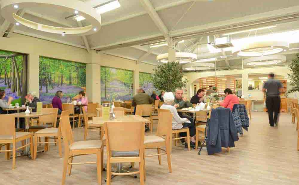 Burston Garden Centre - Gallery Image