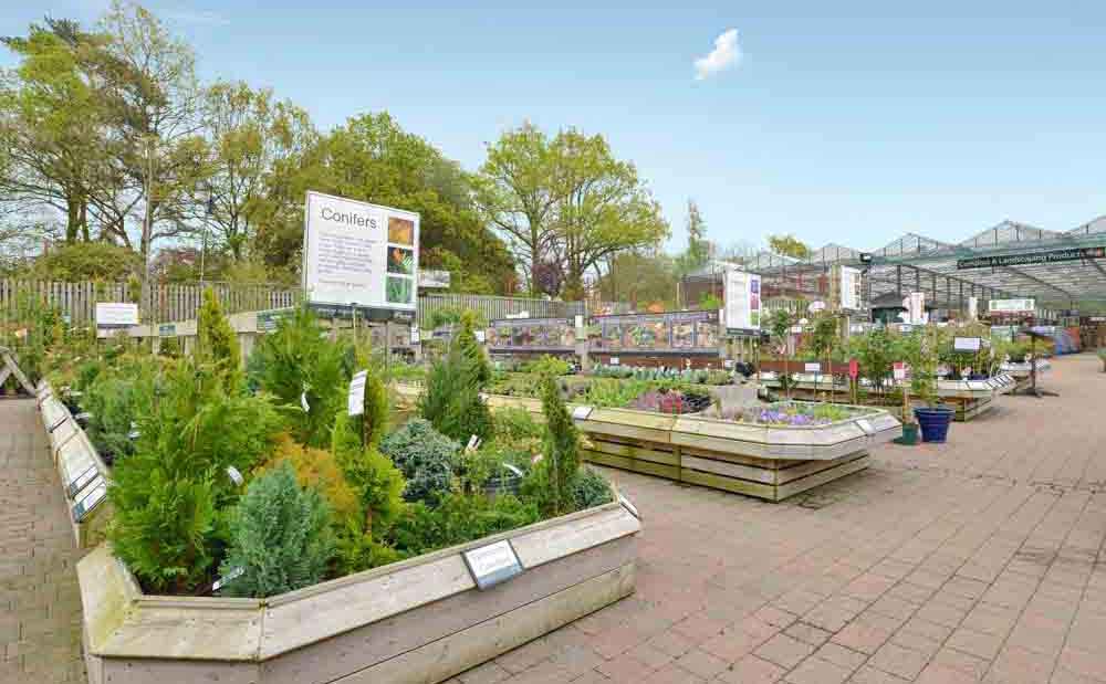 Burston Garden Centre - Gallery Image