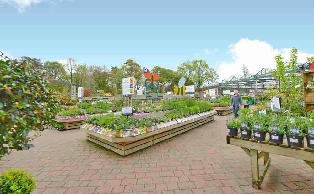 Burston Garden Centre - Gallery Image