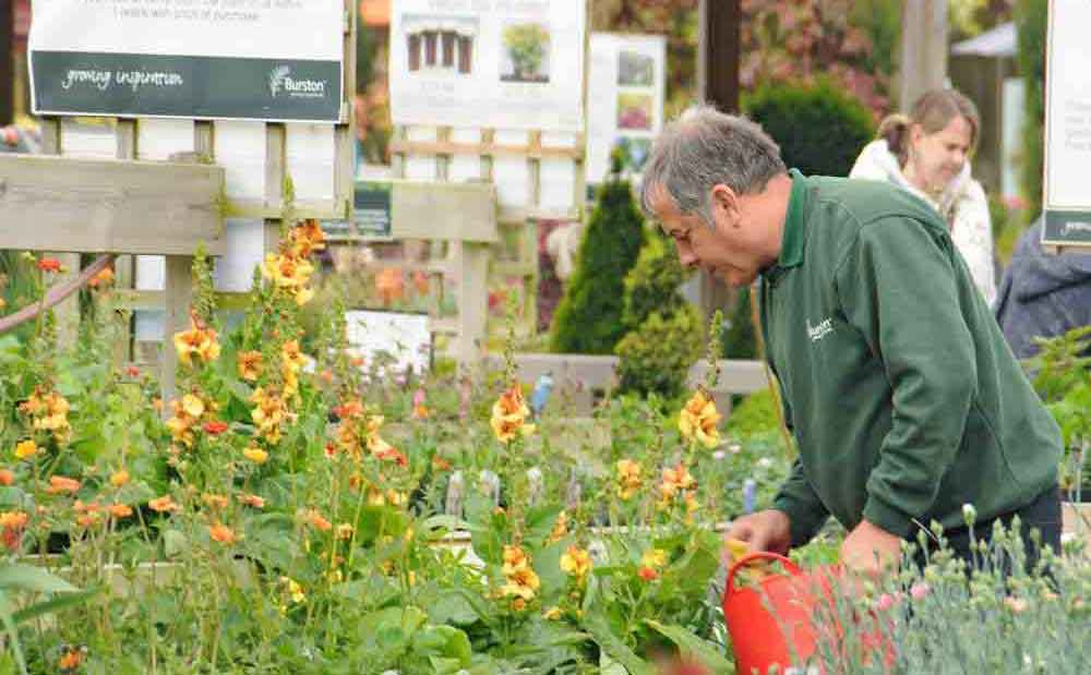 Burston Garden Centre - Gallery Image