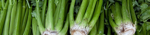 Grow Your Own Celery - Burston Garden Centre