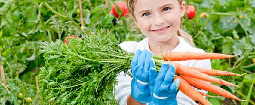 Gardening with Children - Carrot