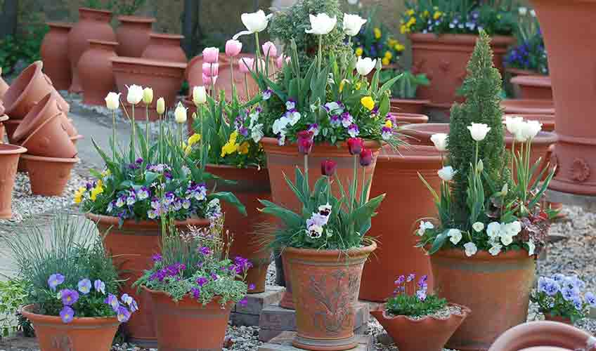 Planters and Containers for the Garden