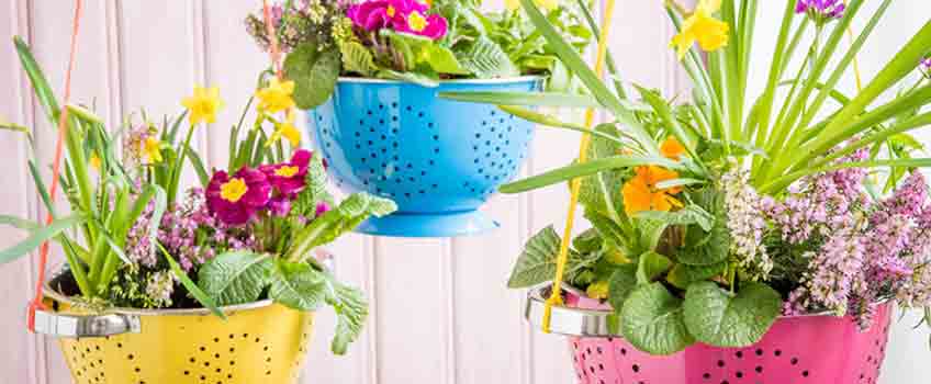 Planters and Containers for the Garden