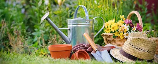 Spring Time Gardening Tips from Burston Garden Centre