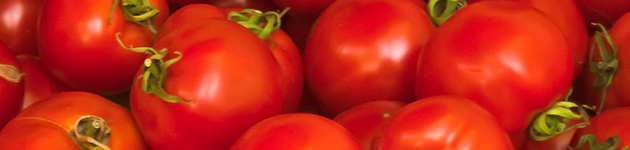 Grow Your Own Tomatoes - Burston Garden Centre