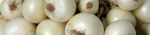 Grow Your Own White Onions - Burston Garden Centre