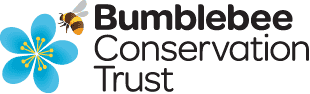 BBCT – logo BBCT - logo