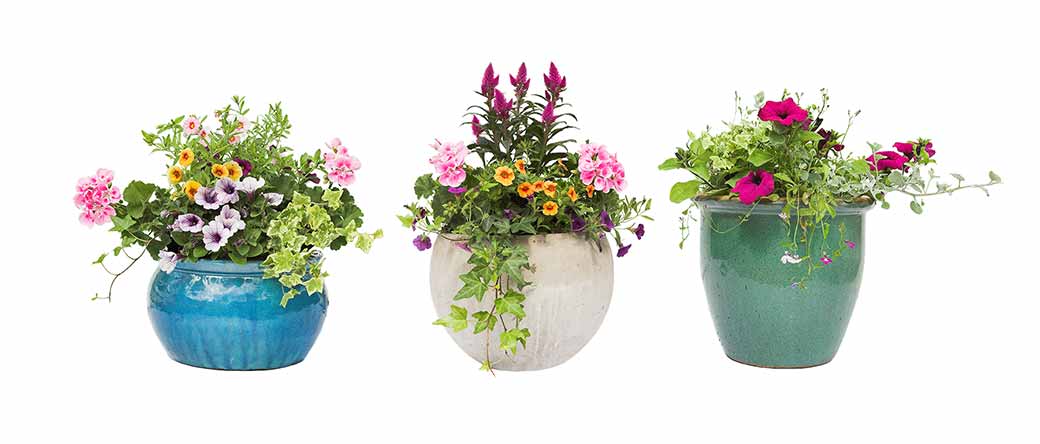 Garden Care - Burston Garden Centre - Plant Pots