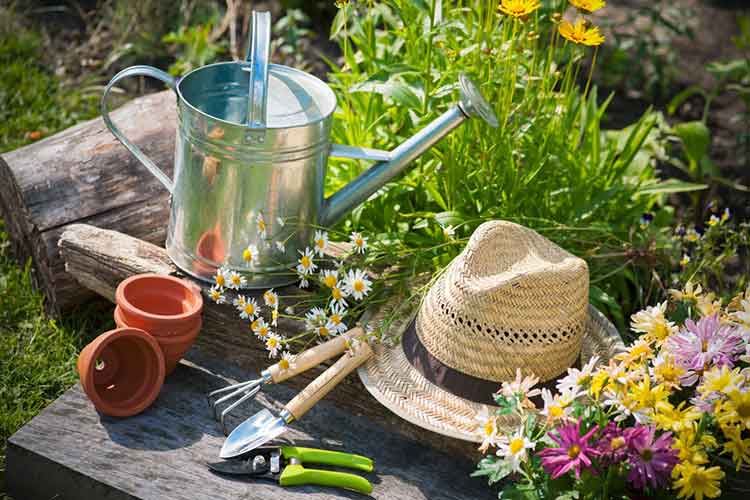 Garden Care - Burston Garden Centre