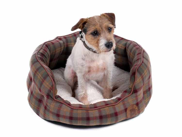 Pet and Bird Care - Dog Beds at Burston Garden Centre