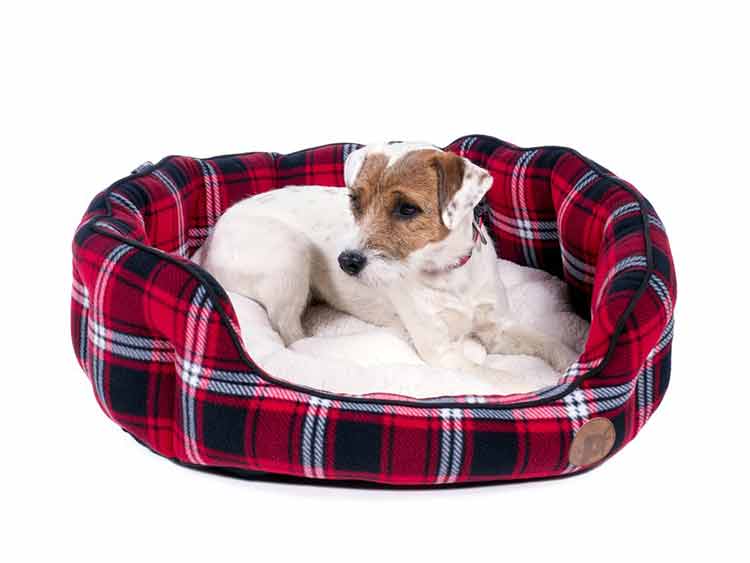 Pet and Bird Care - Dog Beds at Burston Garden Centre