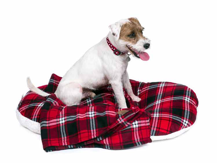 Pet and Bird Care - Dog Beds at Burston Garden Centre