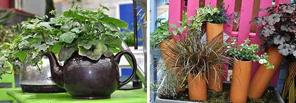 Plants at Burston Garden Centre - Recycling & Upcycling