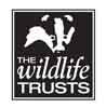 Wildlife Trust - logo