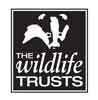 Wildlife Trust – logo Wildlife Trust - logo