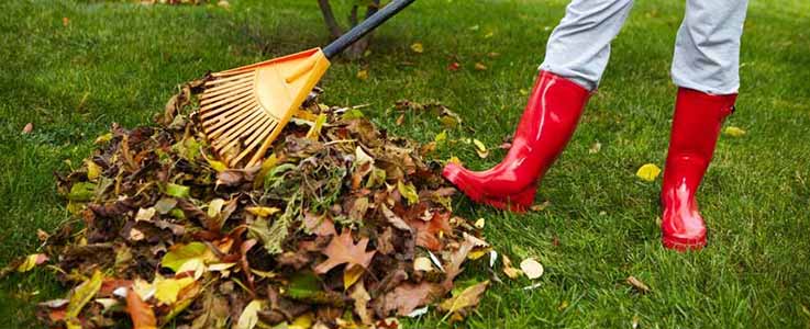 Winter Lawn Care at Burston Garden Centre