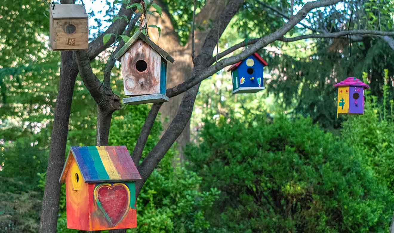 Bird Feeder Painting at Burston Garden Centre