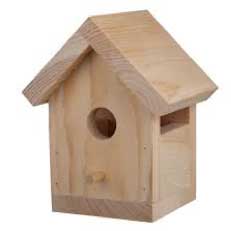 Looking after birds in your garden - blog by Burston Garden Centre