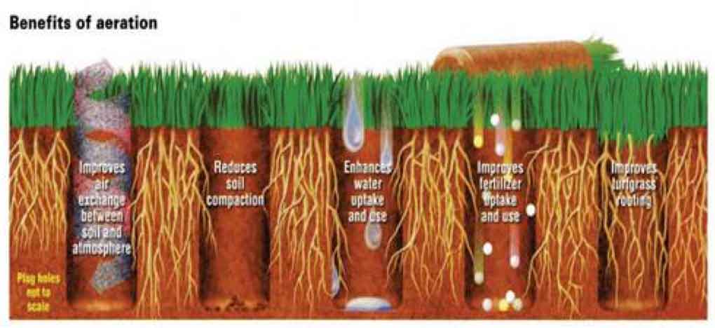 Are you garden ready - benefits of aeration