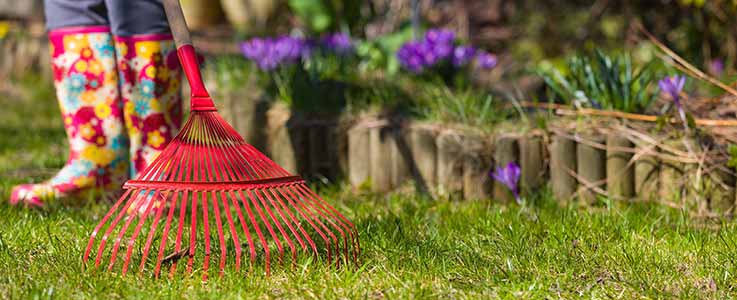 Is Your Lawn Spring Ready?
