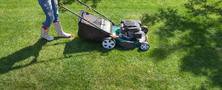 Is Your Lawn Spring Ready?