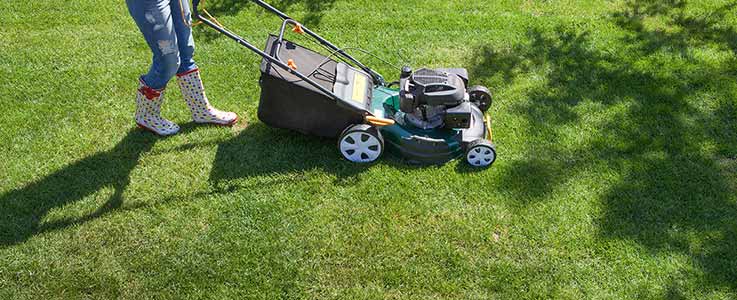 Is Your Lawn Spring Ready?