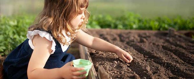 Plant Seeds - Kids Corner Blog - Burston Garden Centre