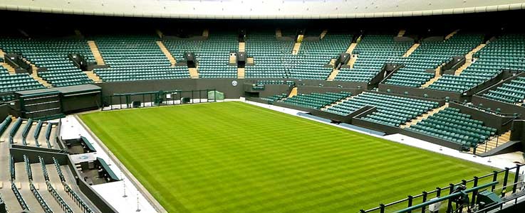 Achieve Lawn like Wimbledon