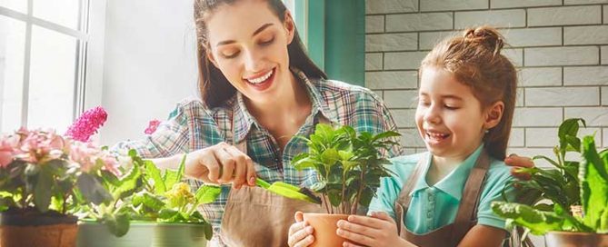 Kids Corner - House Plants