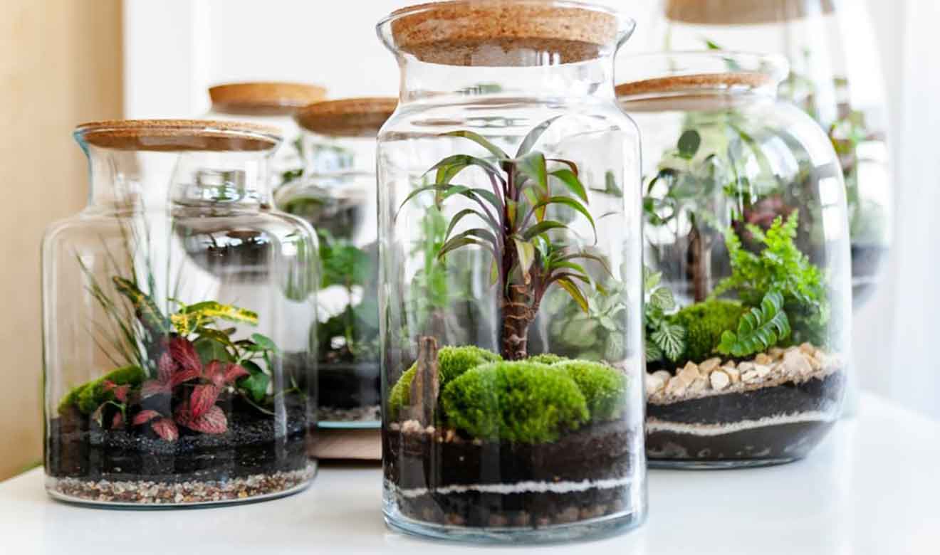 terrarium-workshop-burston-event-image Easter Holiday Kids Activities at Burston Garden Centre