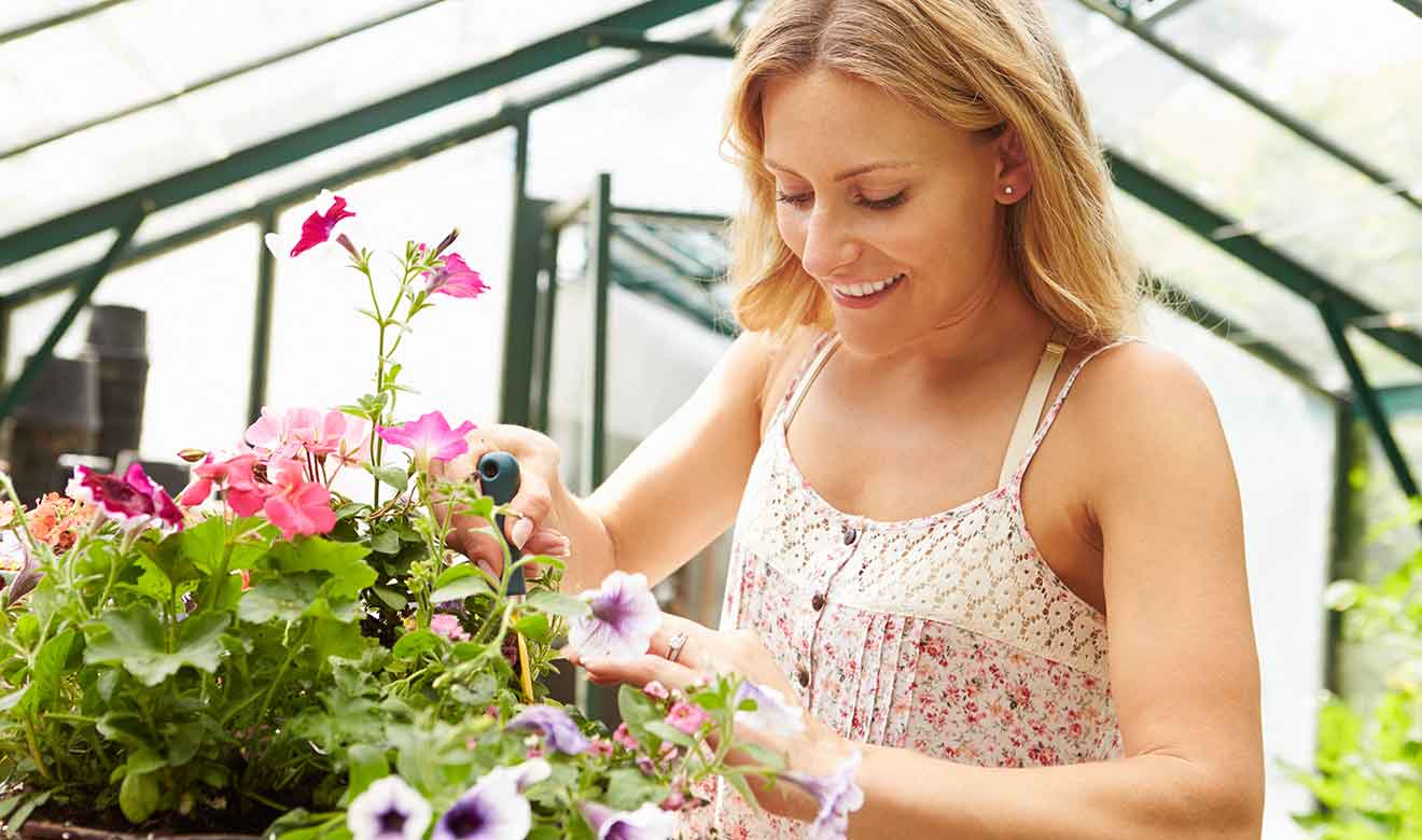 Hanging Basket Event – Burston Garden Centre Hanging Basket Event - Burston Garden Centre