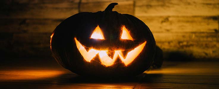 How to grow a pumpkin for Halloween - Burston Blog