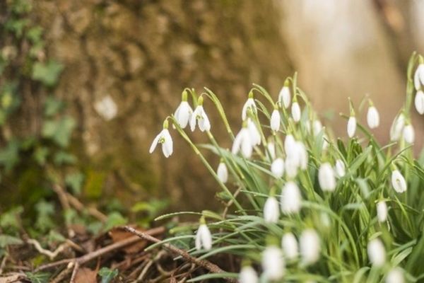 Spring is on the way!-resized