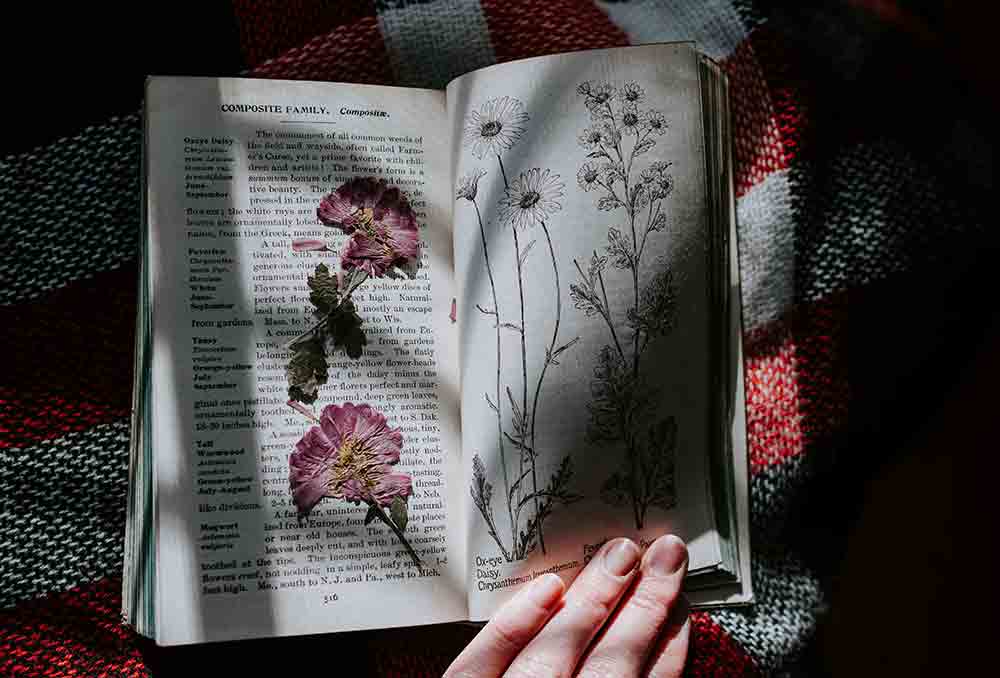 flower-press-book-burston-kids-corner-blog