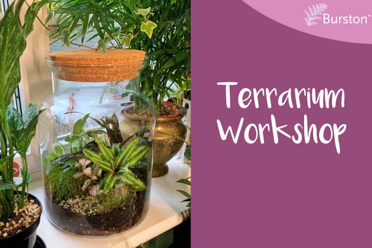 11-Feb-Workshop-Resized-1200×800 Easter Holiday Kids Activities at Burston Garden Centre