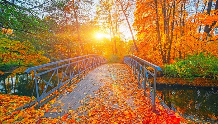Blog_header_november_700x400