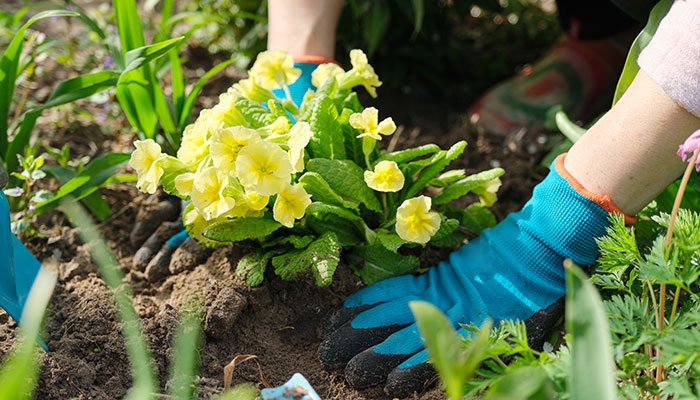 Spring-blog-700×400