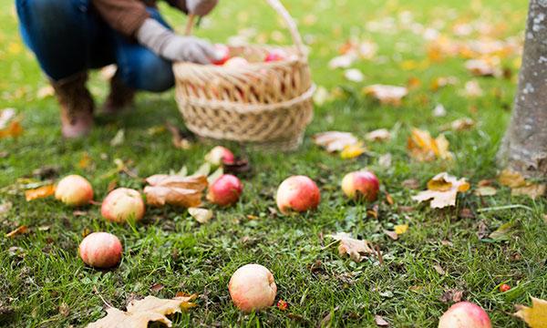 September-header-600×360