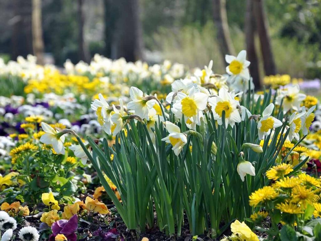 april